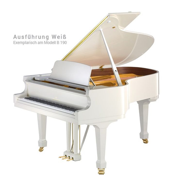 fluegel-c-bechstein-modell-concert-b-212-weiss-pol_0001.jpg