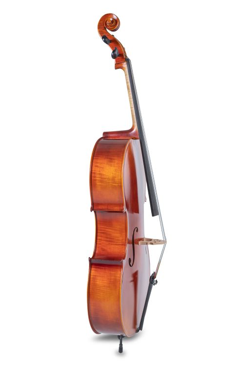 violoncello-gewa-modell-ideale-4-4-leicht-geflammt_0005.jpg